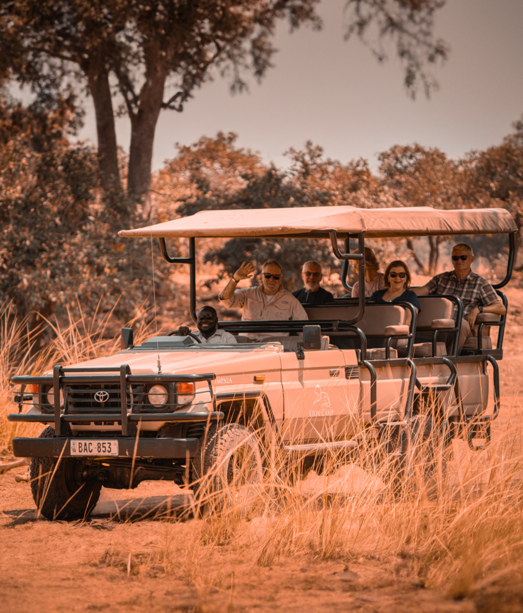 jungle Safari South Luangwa National Park