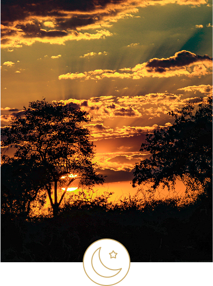 Morning and evening game drives with sundowners,