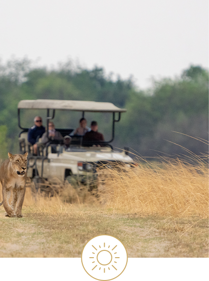 Morning and evening game drive Morning and evening game drive