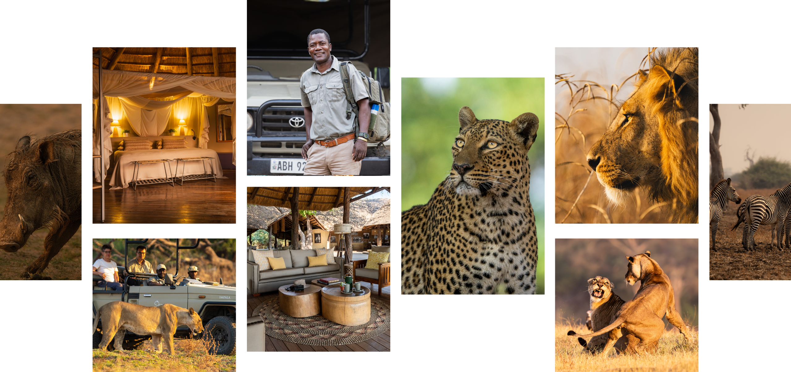 South Luangwa National Park Images